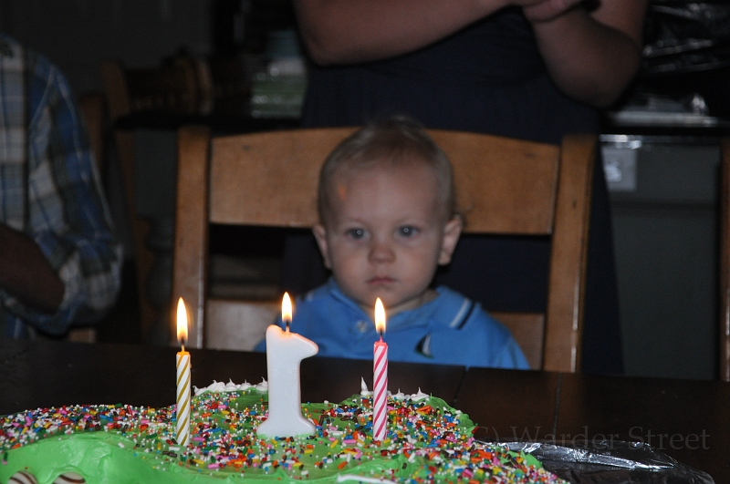 William's 2nd 1st Birthday Party 302.jpg